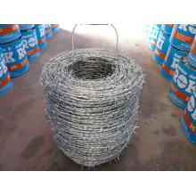 Galvanizado Razor Barbed Wire Mesh Fencing